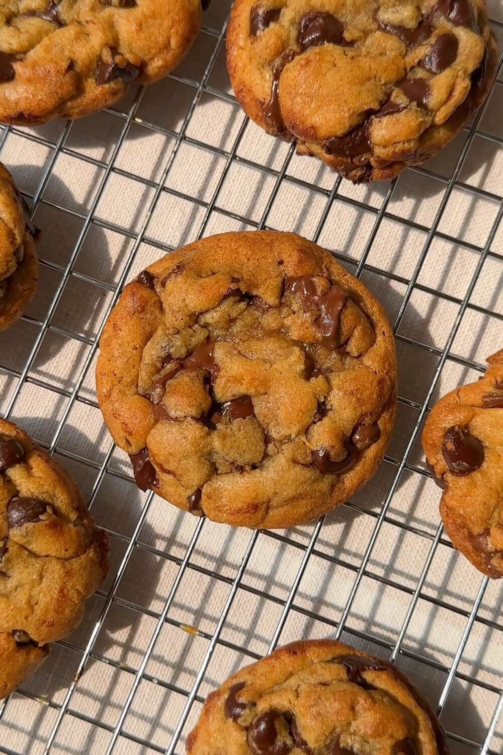 Crumz Classic Chocolate Chip Cookies